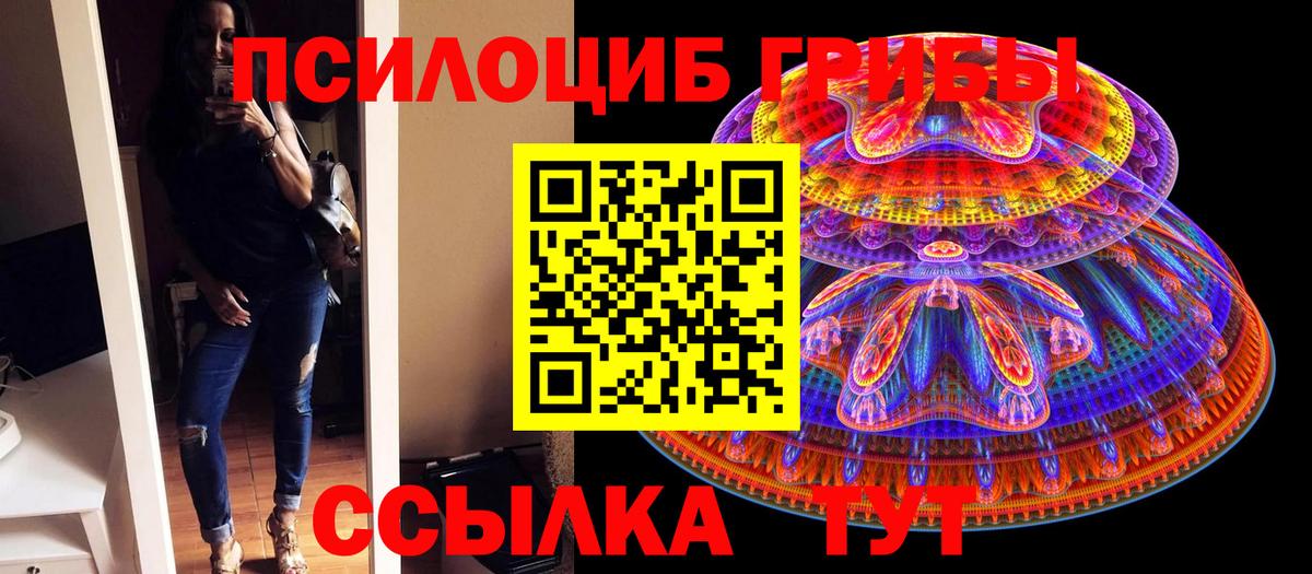 Галлюциногенные грибы Psilocybe Новодвинск