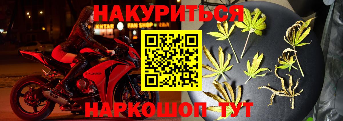 Бошки марихуана White Widow  Канабис план  Вход с VPN  Шишки марихуана MAZAR  Шишки марихуана VHQ  Новодвинск 